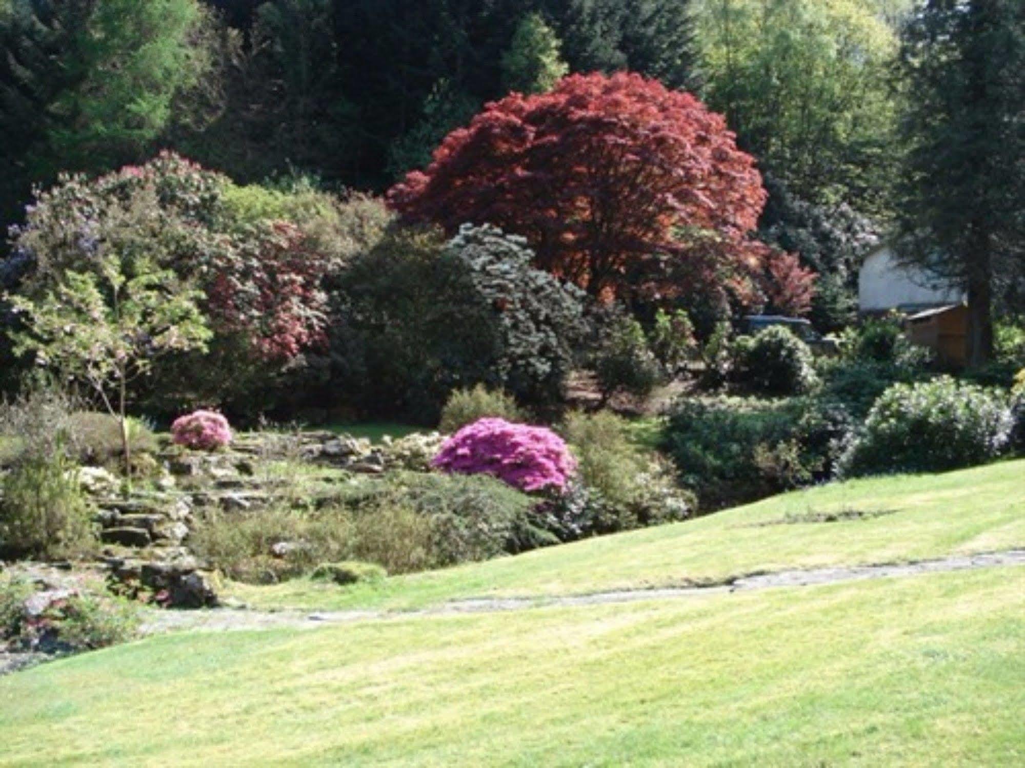 Foxghyll Country House Bed & Breakfast Ambleside Exterior foto